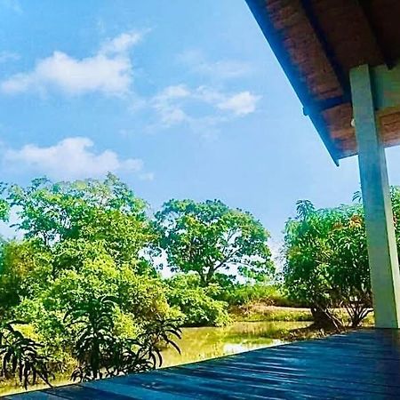Bed and Breakfast Thihawa Eco Huts Yala Tissamaharama Esterno foto