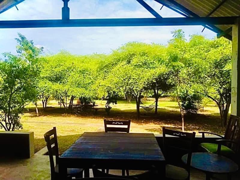 Bed and Breakfast Thihawa Eco Huts Yala Tissamaharama Esterno foto