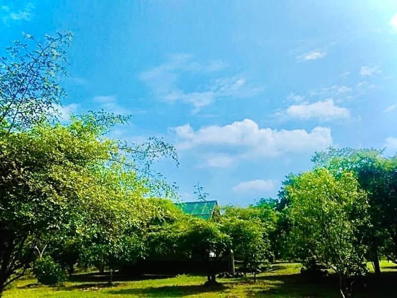 Bed and Breakfast Thihawa Eco Huts Yala Tissamaharama Esterno foto