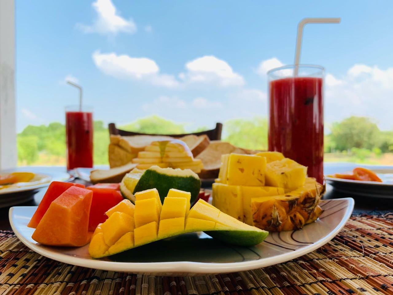 Bed and Breakfast Thihawa Eco Huts Yala Tissamaharama Esterno foto