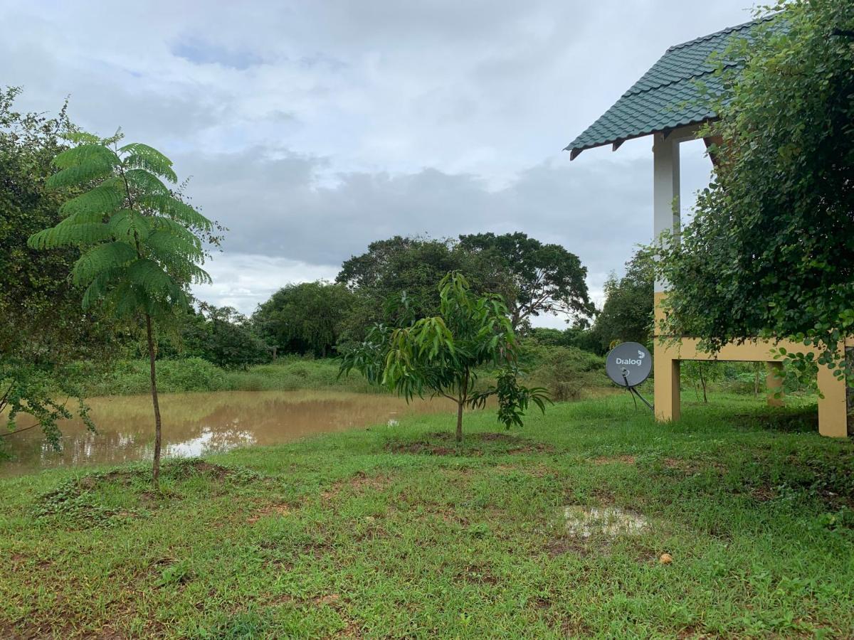 Bed and Breakfast Thihawa Eco Huts Yala Tissamaharama Esterno foto